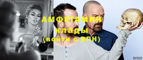 гашик Алексин