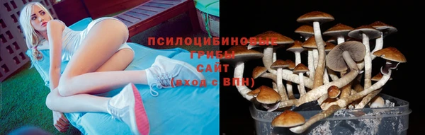шишки Алексеевка