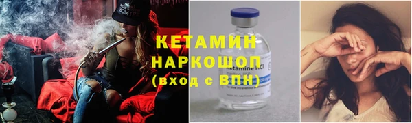 гашик Алексин
