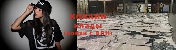гашик Алексин