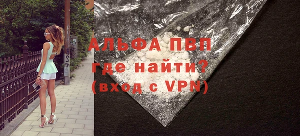 гашик Алексин
