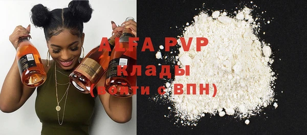 гашик Алексин