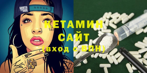 гашик Алексин