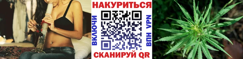 Конопля марихуана Гдов